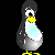 Penguin Paul